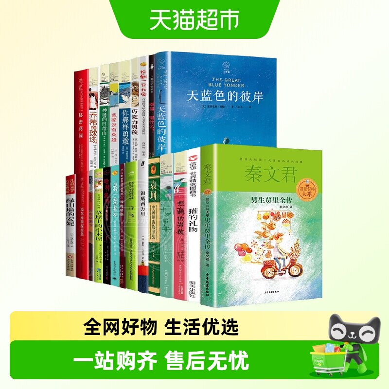 四年级课外阅读书十岁那年海底两万里青鸟极地特快总有一天会长大