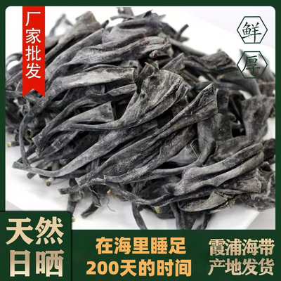 福建霞浦海带头干货特级厚海带根风干厚实软糯煲汤食材营养丰富