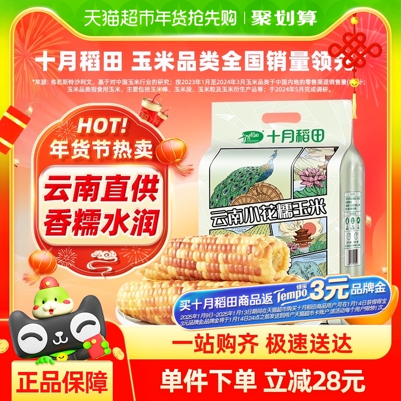 包邮！十月稻田云南小花糯玉米玉米棒真空装甜糯玉米1.5kg