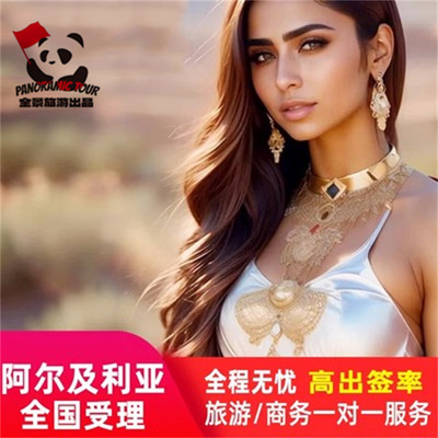 阿尔及利亚签证全国办理商务工作加急商务代送