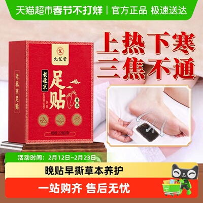 九芝堂老北京艾叶艾草足贴