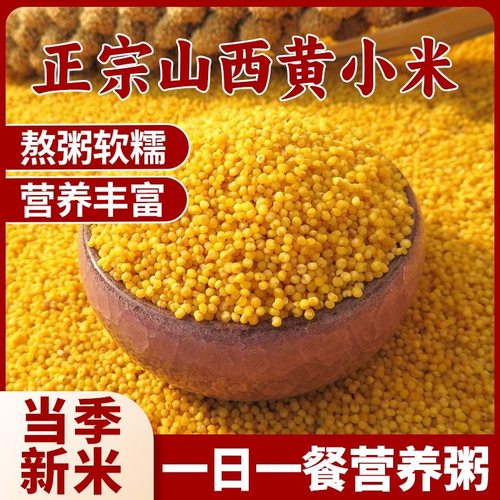 正宗山西黄小米新鲜小米色泽金黄软糯米油香醇5斤装原产地直发