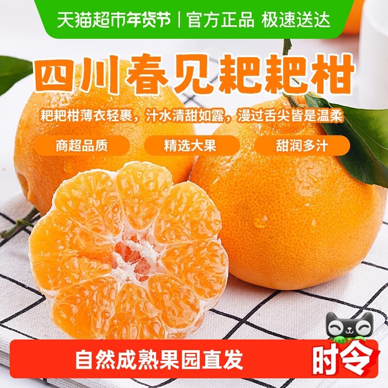 四川春见耙耙柑果肉饱满无籽清甜多汁超新鲜水果应季鲜货