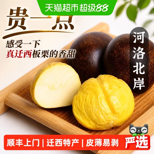 河洛北岸迁西板栗