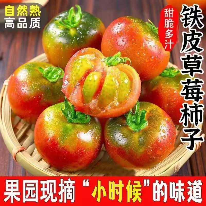 超正宗丹东盐碱地柿子新鲜水果绿腚铁皮番茄草莓西红柿东北包邮