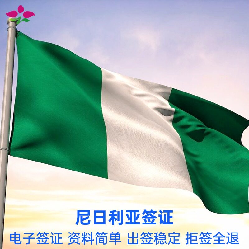 尼日利亚签证商务签证简化电子商务加急电子商务旅游落地签