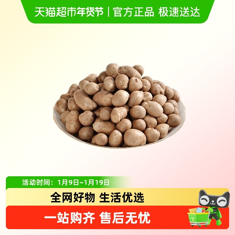 铁棍山药豆新鲜糖葫芦原料河南焦作农家正宗宝宝辅食山药蛋种子