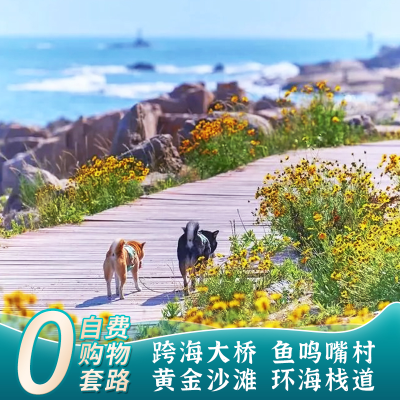【2-6人團(tuán)】黃島一日游 跨海大橋 金沙灘 魚鳴嘴 海神廟 唐島灣