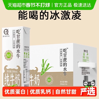 认养吃甘蔗的水牛奶