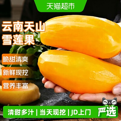 寻天果蔬云南天山雪莲果