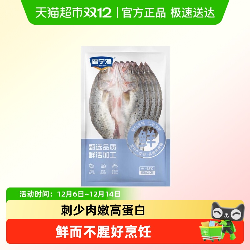 福宁港三去海鲈鱼