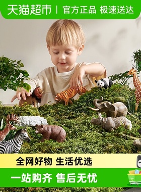 babycare动物桶玩具仿真动物恐龙霸王龙剑龙模型玩具动物园bctoys
