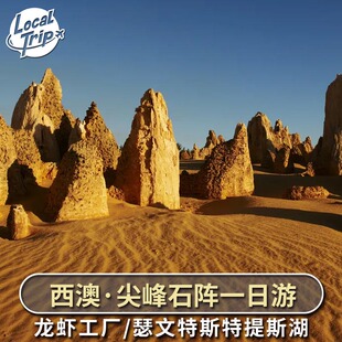澳大利亚旅游西澳珀斯尖峰石阵中文导览一日游龙虾兰斯林沙丘滑沙