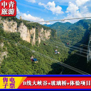 [张家界大峡谷-B线大峡谷+玻璃桥+体验项目]刷身份证入园-湖南旅游订票