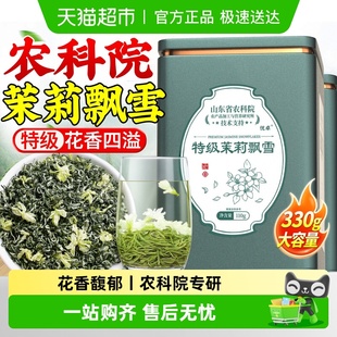 茉莉花茶2025新茶特一级官方正品 飘雪浓香型横县茉莉花绿茶店旗舰
