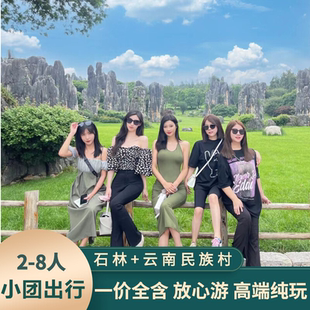 云南旅游 昆明石林风景区+云南民族村一日游 保证纯玩 赠过桥米线
