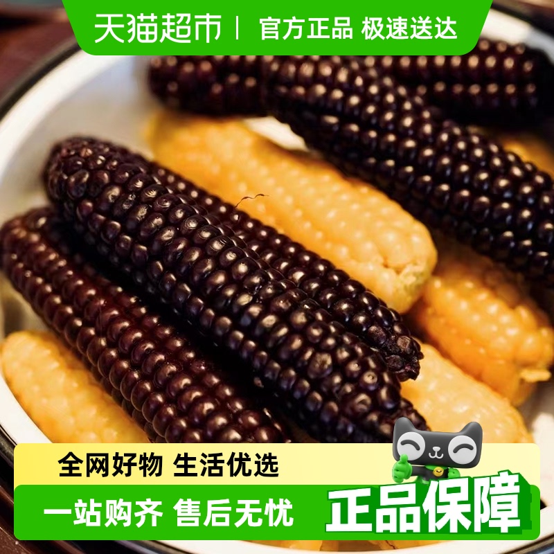 胡鲜森混搭香糯玉米棒玉米