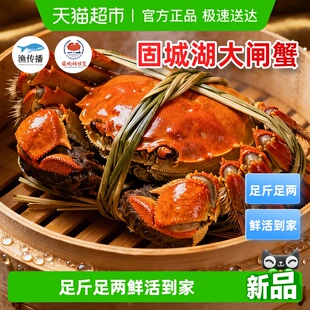 渔传播固城湖大闸蟹现货3.0全母螃蟹特大4.0鲜活公河蟹精品礼盒