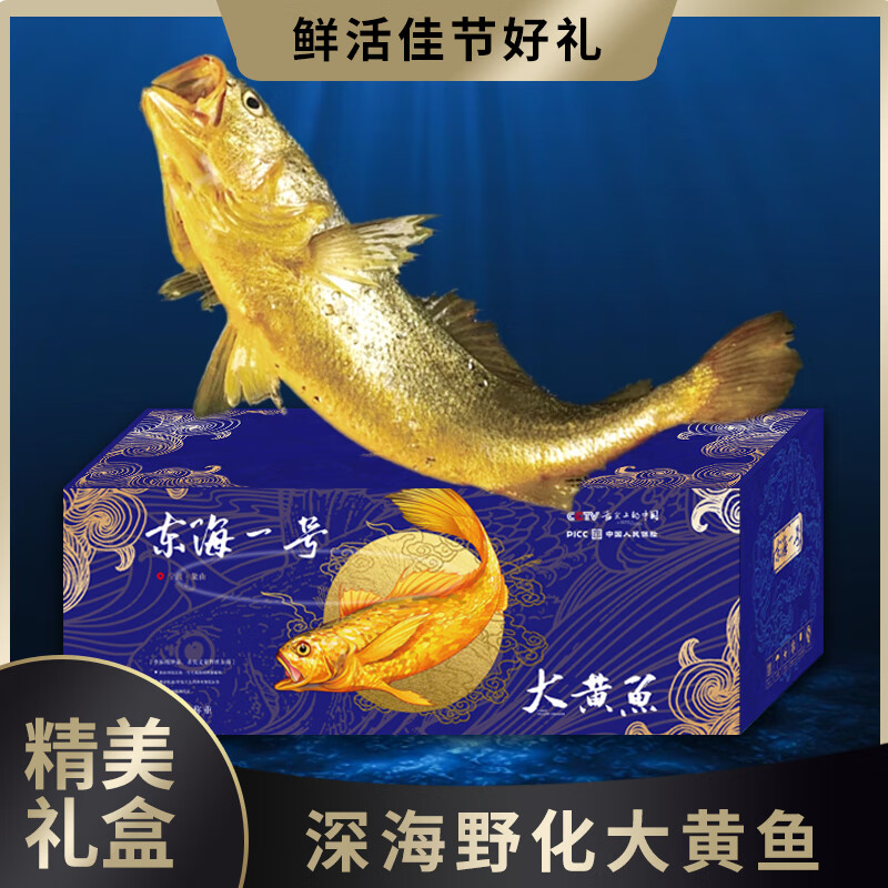 象山原产地特产海鲜东海一号大黄鱼深远海养殖渔场野化礼盒装