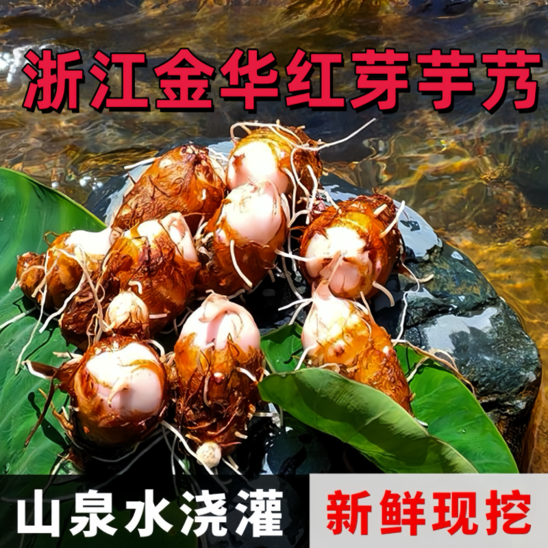 浙江金华新鲜红芽芋艿现挖毛芋小芋头红梗芋子农家自种蔬菜5/3斤