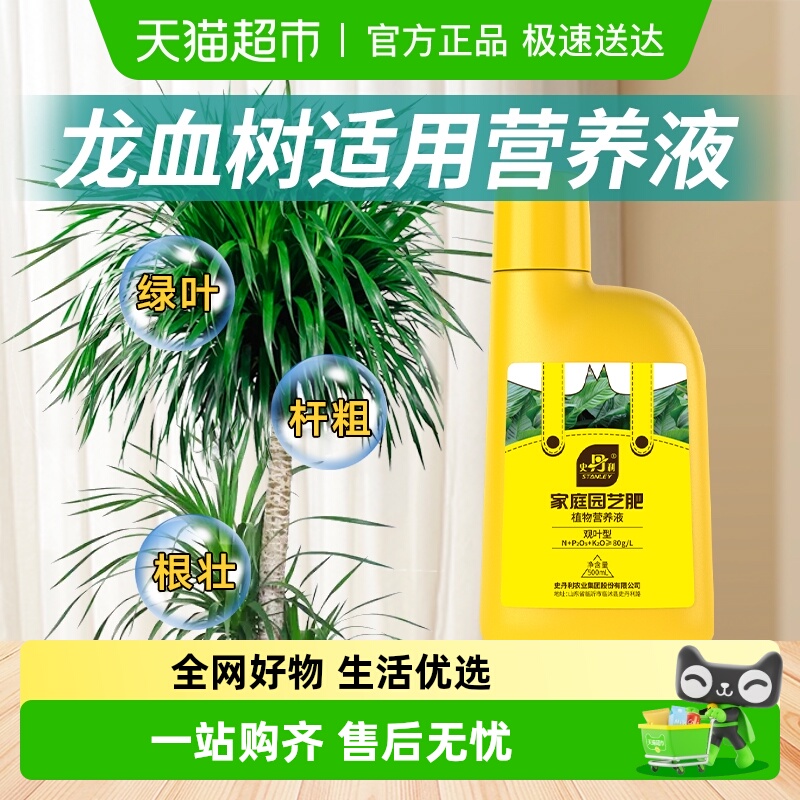 史丹利龙血树营养液客厅绿植植物