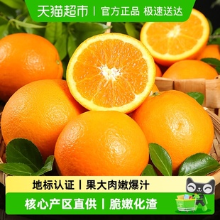 新鲜水果整箱正宗甜橙子产地直发 江西赣南脐橙当季 2025现摘