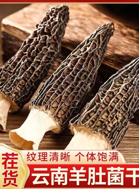 干货云南羊肚菌20gx1/3/5包 单根5-8cm