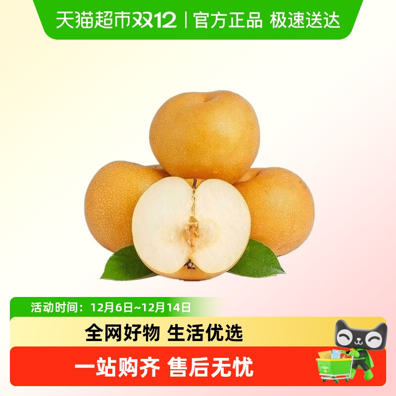 正宗秋月梨新鲜水果正品应季当季