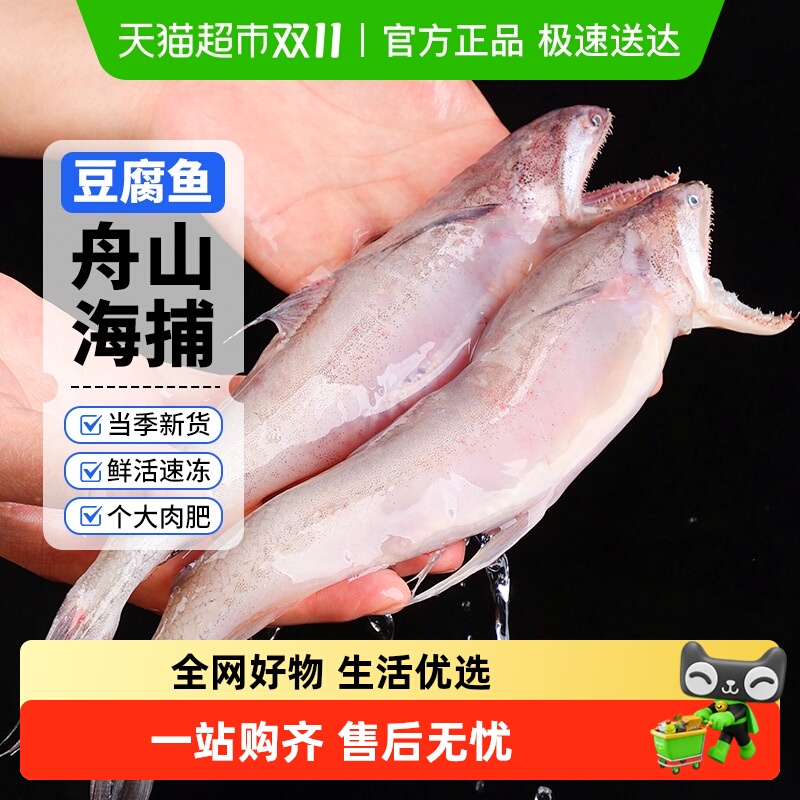 东海海捕新鲜龙头鱼豆腐鱼九肚鱼水潺冷冻海鲜 海捕新鲜龙头鱼
