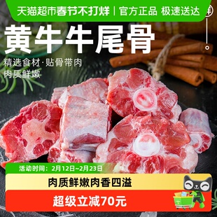 祁连天宝黄牛牛尾骨原切牛肉生鲜中断切块牛尾巴炖汤红烧食1500g