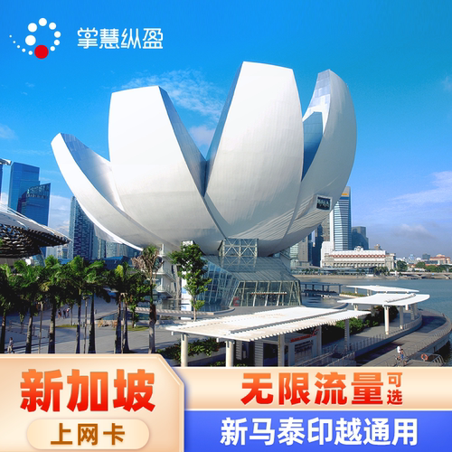 新加坡电话卡