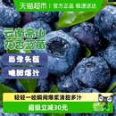 云南高原花香蓝莓新鲜水果当季 整箱鲜果现摘