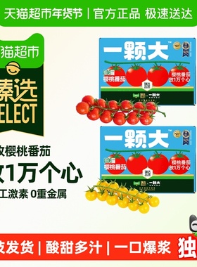 【臻选】一颗大串收樱桃番茄甄选礼盒装新鲜采摘酸甜