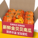 正宗红皮金贝贝小南瓜黄圆南瓜金瓜金丝南瓜南瓜新鲜贝贝小南瓜