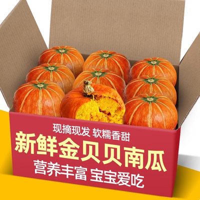 正宗红皮金贝贝小南瓜黄圆南瓜金瓜金丝南瓜南瓜新鲜贝贝小南瓜
