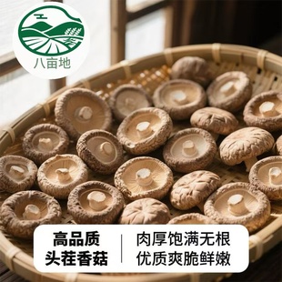 古田香菇干货500g肉厚无根干香菇新货蘑菇批发农家特产250g