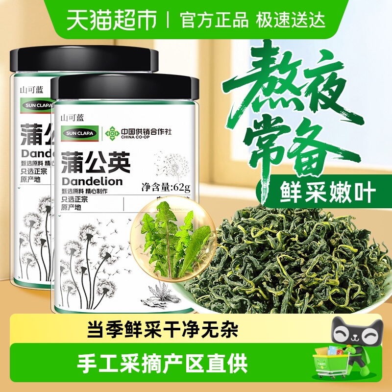 蒲公英茶正宗中草药材鲜采婆婆丁叶根茶特散养生茶干泡水非野生级