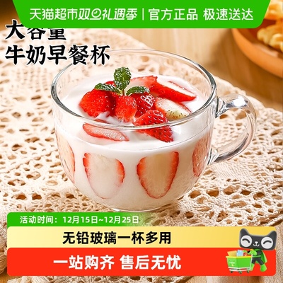 大容量燕麦早餐杯玻璃杯