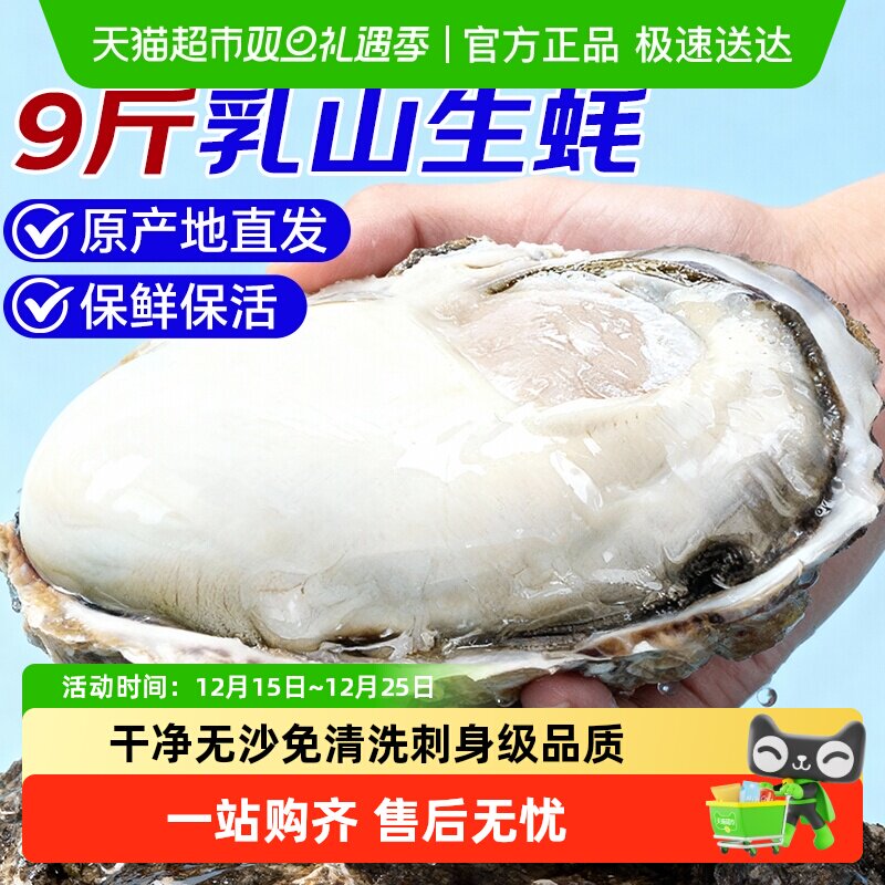 海仙部落乳山生蚝鲜活特大海蛎子新鲜牡蛎整箱
