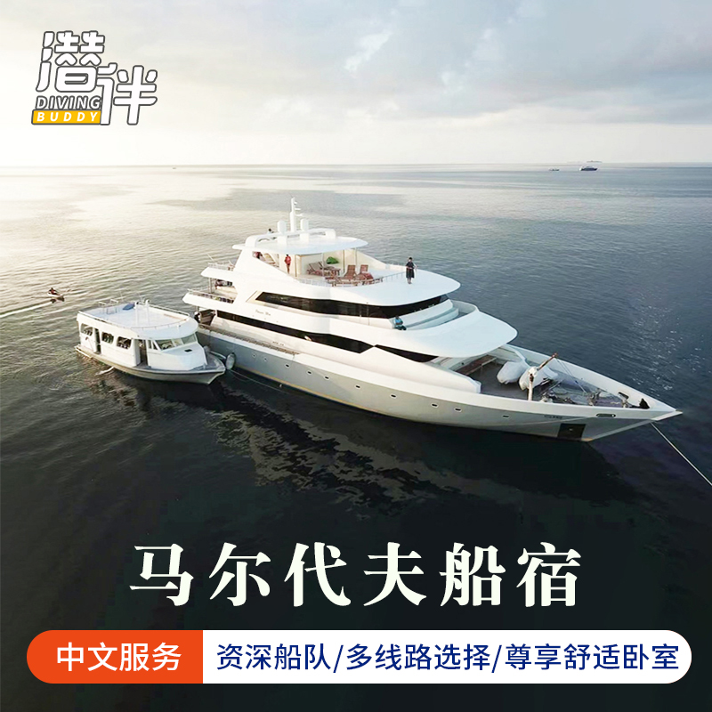 经济实惠 中文讲解