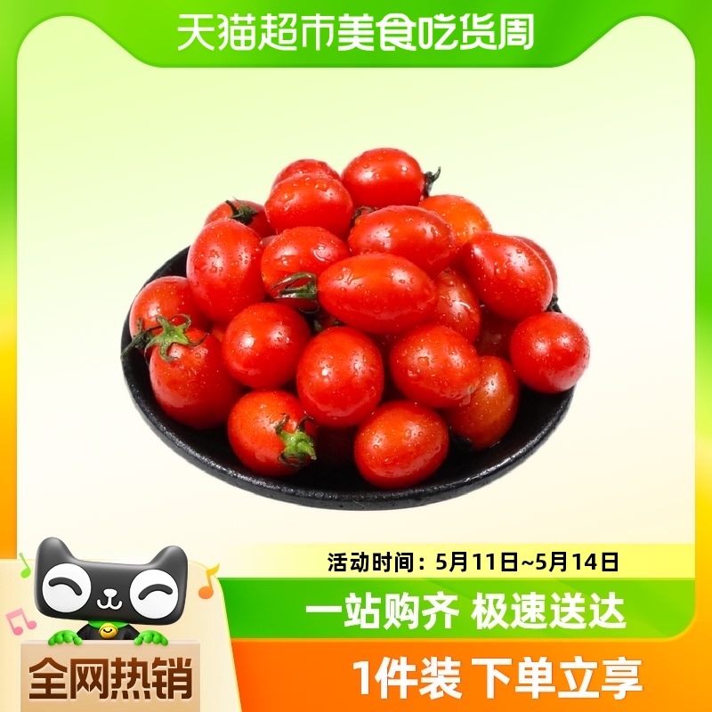 山东聊城圣女果小番茄2/3/5斤装香甜可口整箱包邮 水产肉类/新鲜蔬果/熟食 番茄 原图主图