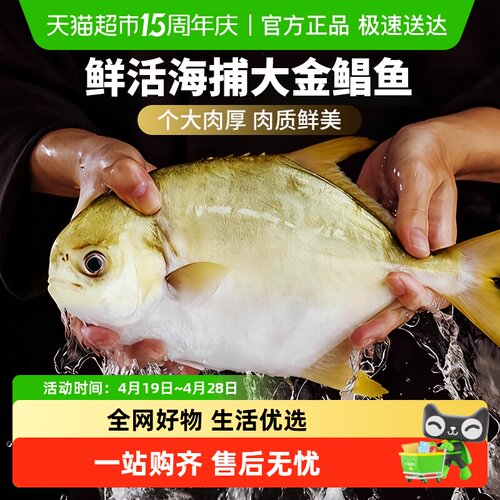 云储生活金鲳鱼新鲜冷冻鲜活特大