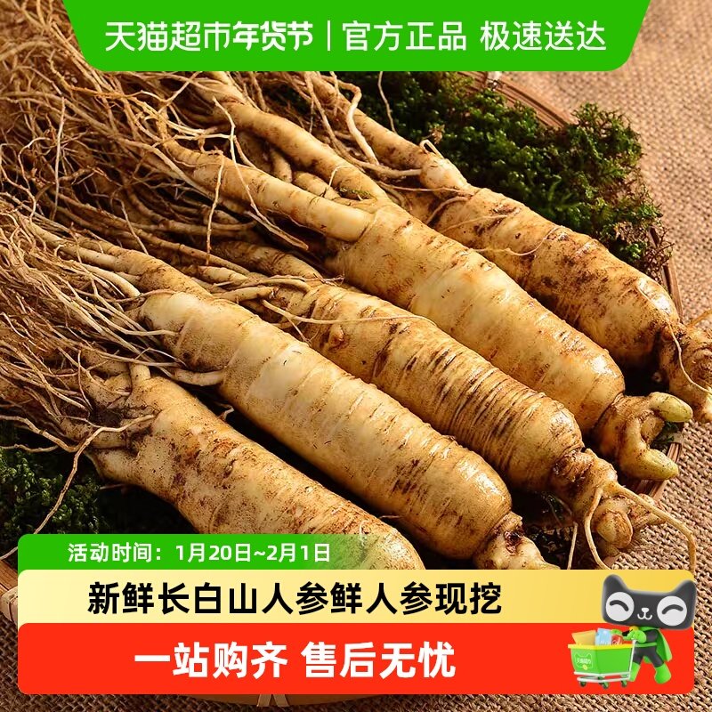 新鲜长白山人参鲜人参现挖整枝鲜参泡酒煲汤非干货礼盒,水产肉类/新鲜蔬果/熟食,其它,淘宝优惠券,粉丝福利购,淘宝优惠卷