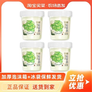 新希望活润轻食杯风味发酵乳青提茉莉荞麦爆珠340g 桶装