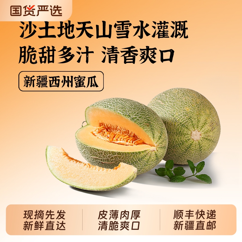 新疆吐鲁番哈密瓜新鲜应季甜脆现摘网纹瓜西州蜜顺丰快递蜜瓜水果