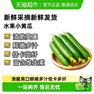 水果黄瓜生吃蘸酱荷兰无刺时令白玉黄蔬菜水 页补贴折上折