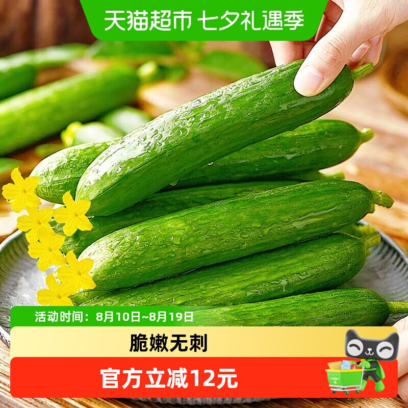 新鲜水果黄瓜脆嫩无刺蔬菜