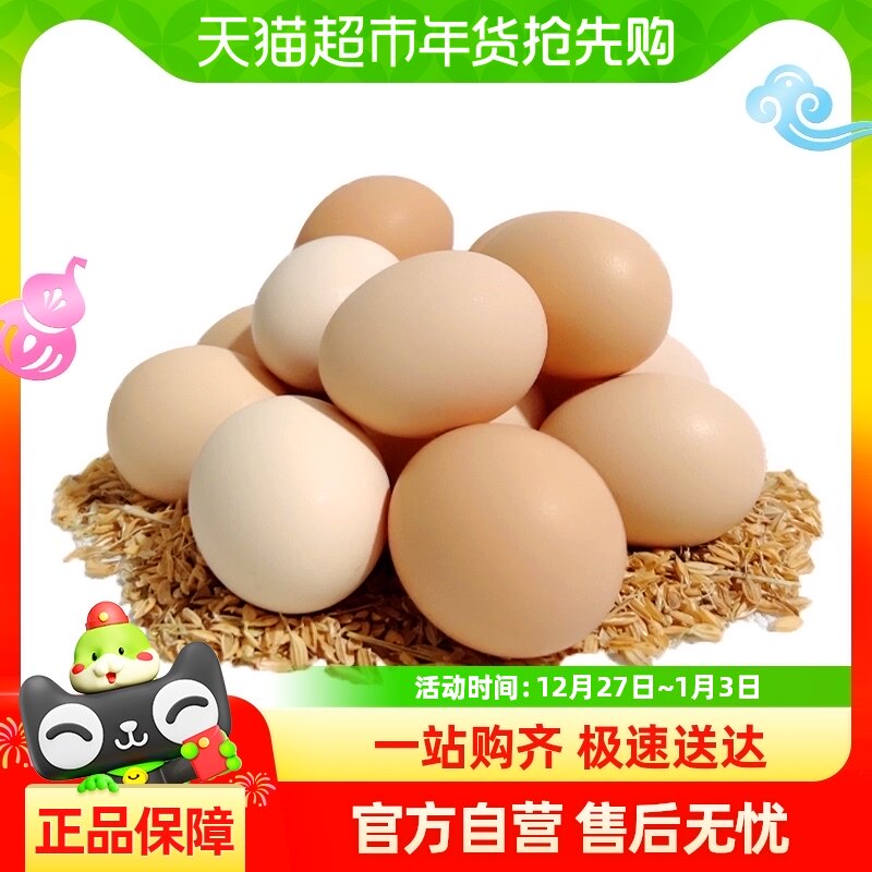 ������ԭ�����ּ�񼦵���԰ɢ��ũ���������񼦵�40g*50ö