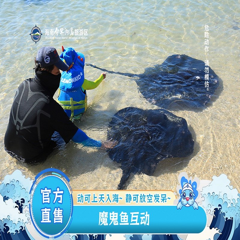 [海南分界洲岛旅游区-魔鬼鱼互动]热门项目。亲子出游优选的特色项