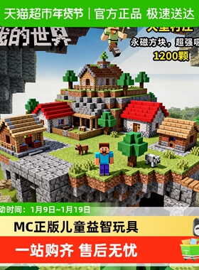 2025火爆我的世界磁力方块全套MC正版儿童益智玩具男女孩生日礼物